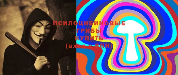 МДПВ Ладушкин