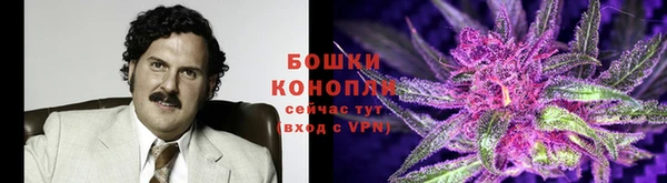 экстази Лагань
