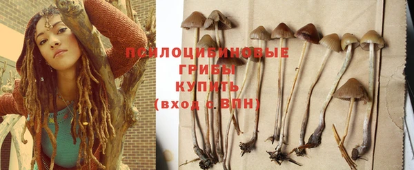 ГАЛЛЮЦИНОГЕННЫЕ ГРИБЫ Лабытнанги