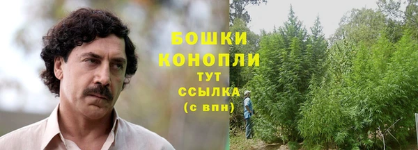 МДПВ Ладушкин