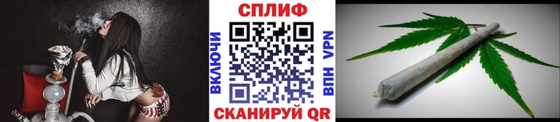 Бошки Шишки ГИДРОПОН  Купить где  Семёнов 